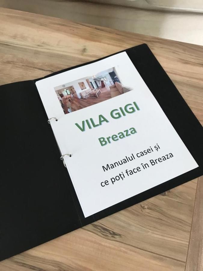 Дома для отпуска Vila Gigi Бряза-41